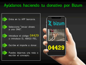 bizum web